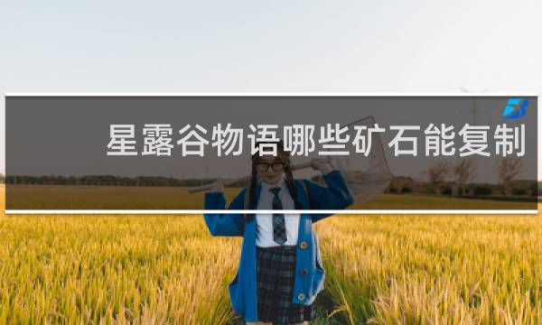星露谷物语哪些矿石能复制