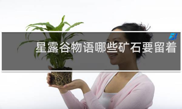 星露谷物语哪些矿石要留着