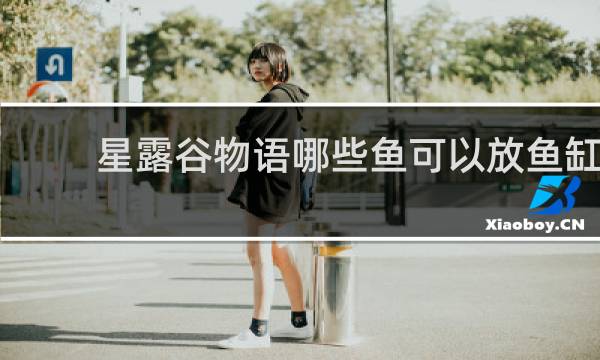 星露谷物语哪些鱼可以放鱼缸