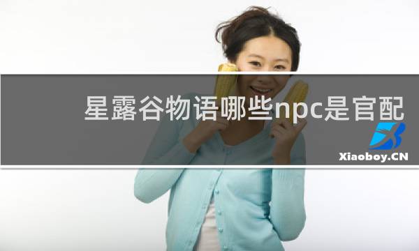 星露谷物语哪些npc是官配