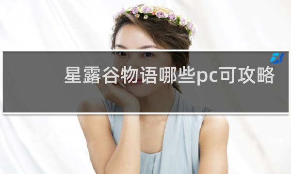 星露谷物语哪些pc可攻略