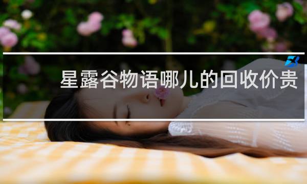 星露谷物语哪儿的回收价贵