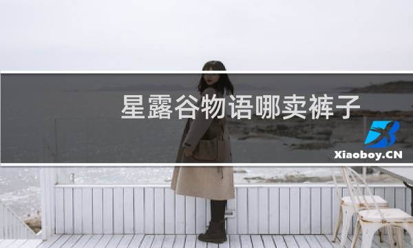 星露谷物语哪卖裤子