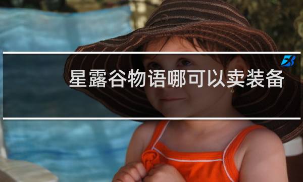 星露谷物语哪可以卖装备