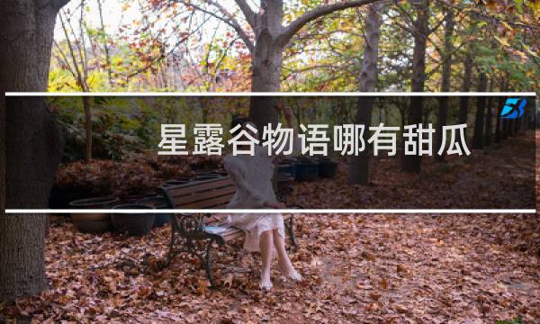 星露谷物语哪有甜瓜