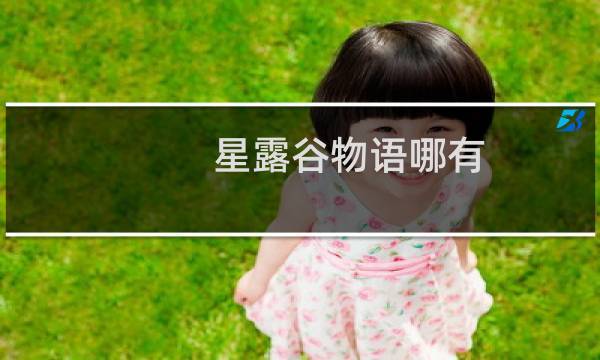 星露谷物语哪有