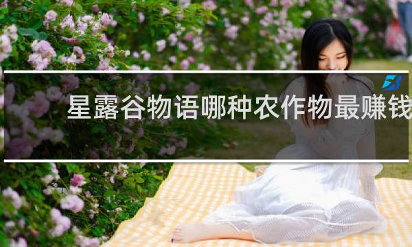 星露谷物语哪种农作物最赚钱