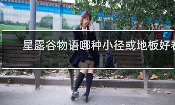 星露谷物语哪种小径或地板好看