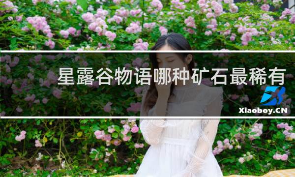 星露谷物语哪种矿石最稀有