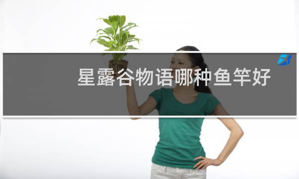 星露谷物语哪种鱼竿好