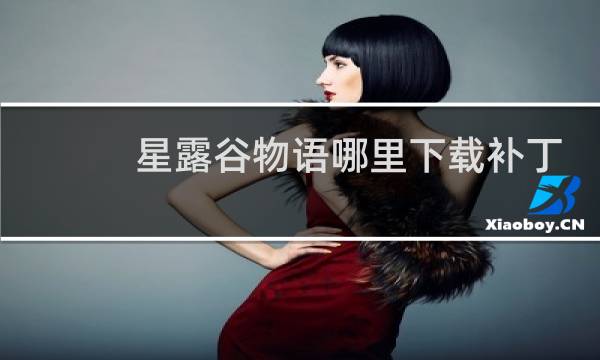 星露谷物语哪里下载补丁