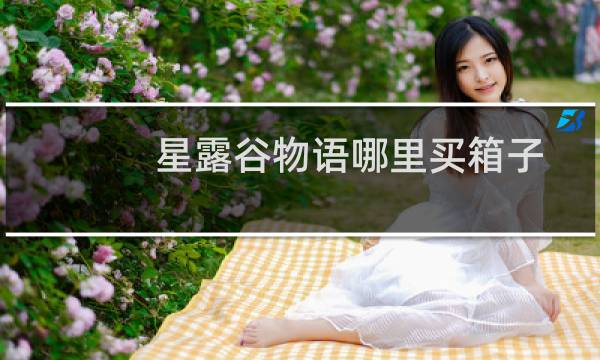 星露谷物语哪里买箱子