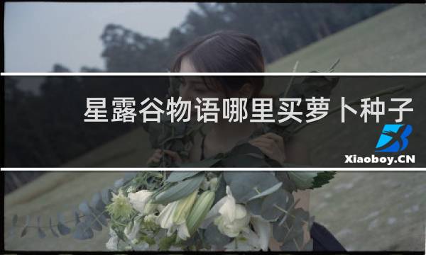星露谷物语哪里买萝卜种子