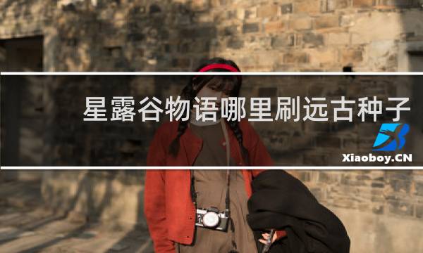 星露谷物语哪里刷远古种子