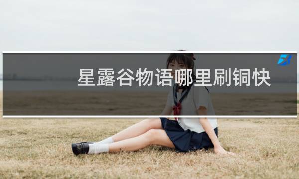 星露谷物语哪里刷铜快