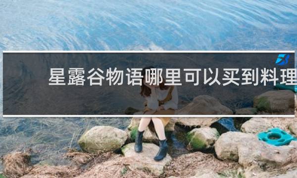 星露谷物语哪里可以买到料理