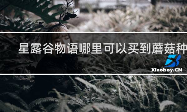 星露谷物语哪里可以买到蘑菇种子