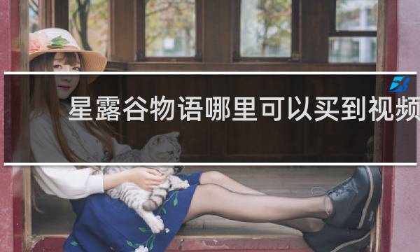 星露谷物语哪里可以买到视频