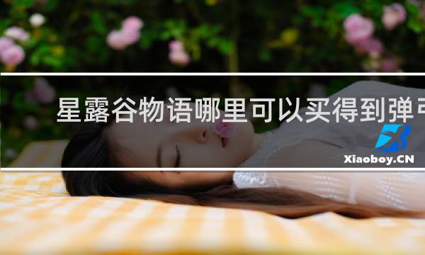 星露谷物语哪里可以买得到弹弓