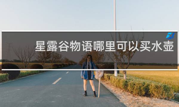 星露谷物语哪里可以买水壶