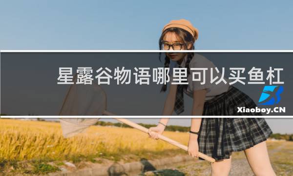 星露谷物语哪里可以买鱼杠