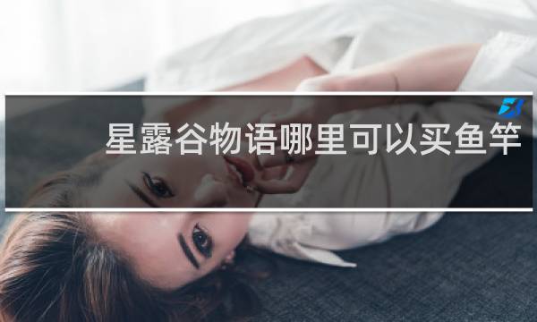 星露谷物语哪里可以买鱼竿