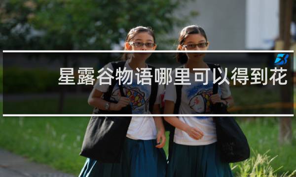 星露谷物语哪里可以得到花