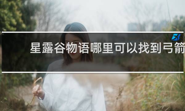 星露谷物语哪里可以找到弓箭