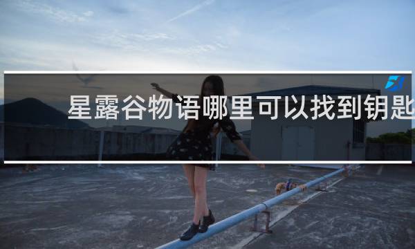 星露谷物语哪里可以找到钥匙