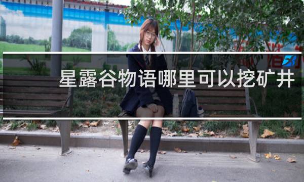 星露谷物语哪里可以挖矿井
