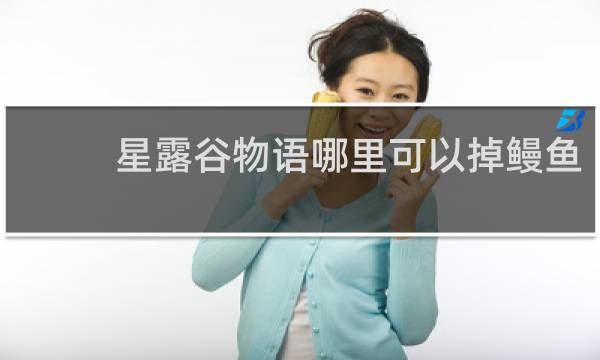 星露谷物语哪里可以掉鳗鱼