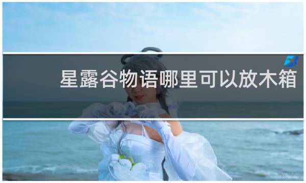 星露谷物语哪里可以放木箱