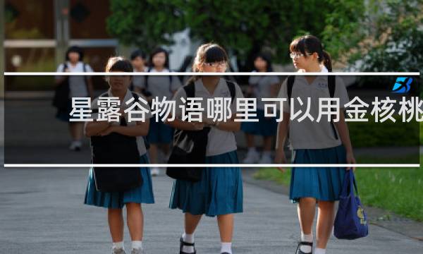 星露谷物语哪里可以用金核桃