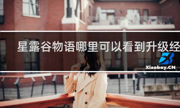 星露谷物语哪里可以看到升级经验