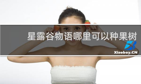 星露谷物语哪里可以种果树