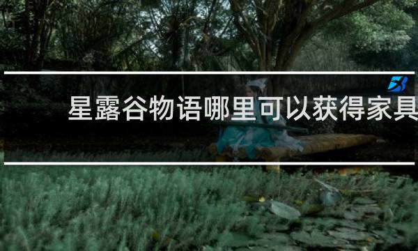 星露谷物语哪里可以获得家具