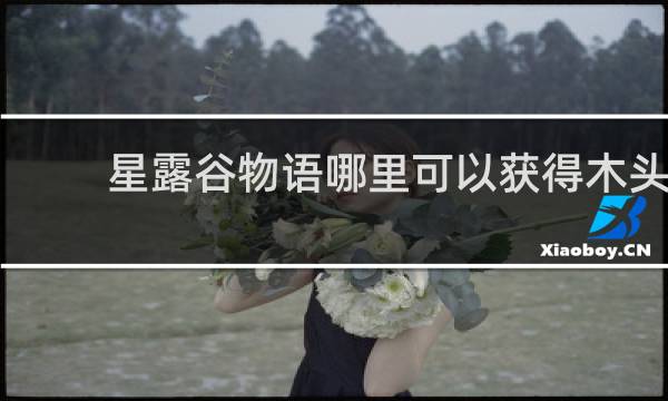 星露谷物语哪里可以获得木头