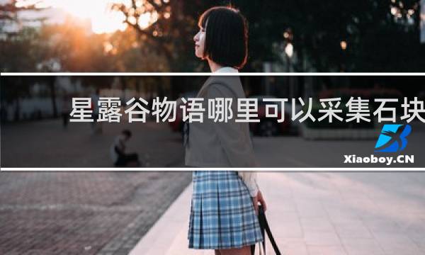 星露谷物语哪里可以采集石块