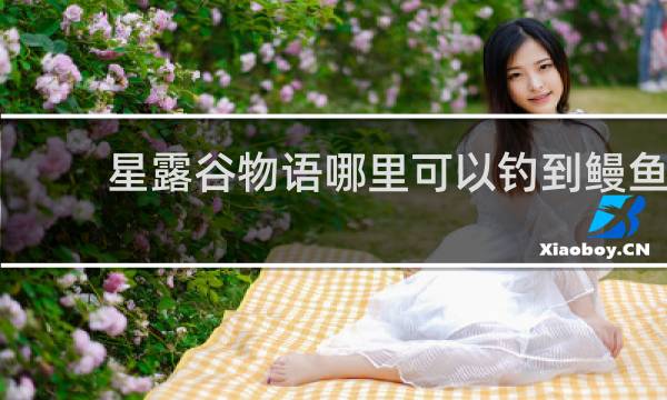 星露谷物语哪里可以钓到鳗鱼