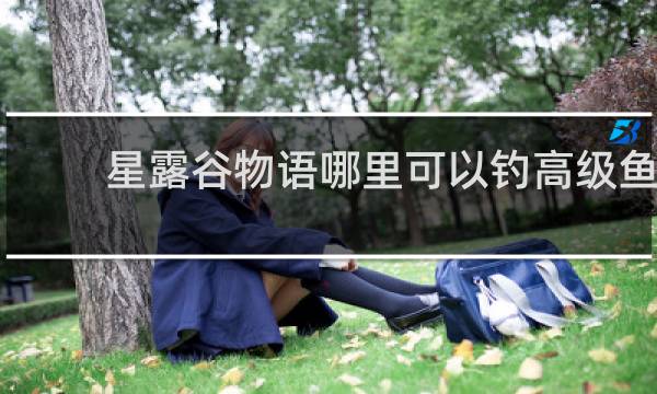 星露谷物语哪里可以钓高级鱼
