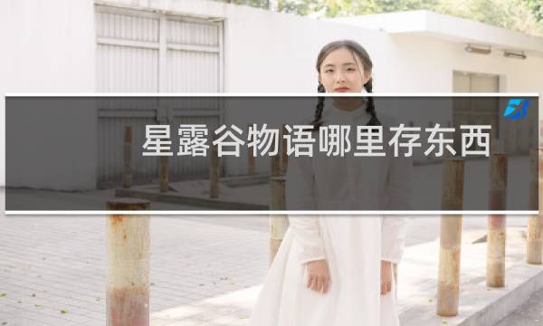 星露谷物语哪里存东西