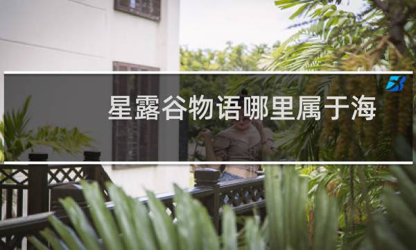 星露谷物语哪里属于海