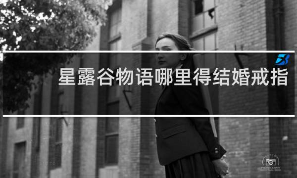 星露谷物语哪里得结婚戒指