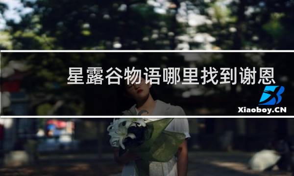 星露谷物语哪里找到谢恩