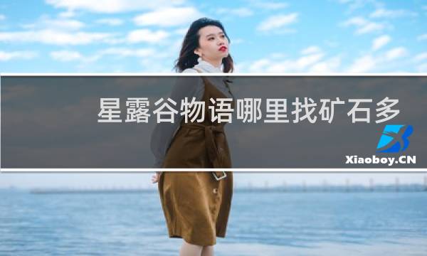 星露谷物语哪里找矿石多