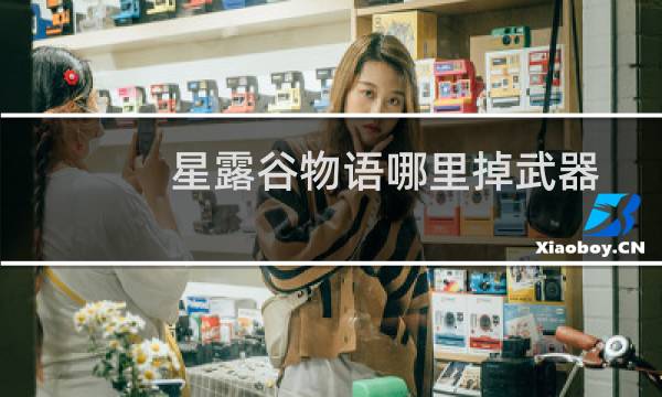 星露谷物语哪里掉武器