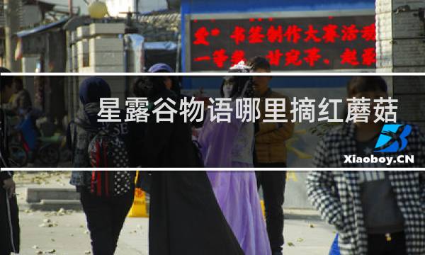 星露谷物语哪里摘红蘑菇