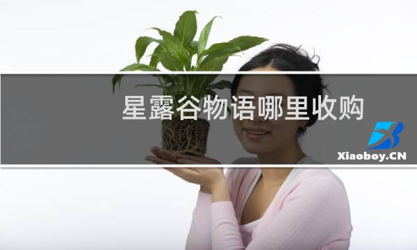 星露谷物语哪里收购
