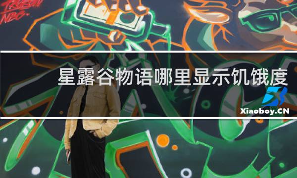 星露谷物语哪里显示饥饿度