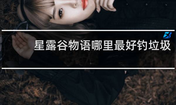 星露谷物语哪里最好钓垃圾